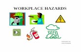 WORKPLACE HAZARDS - wALHSEwalp.weebly.com/.../1200808/rev_1_workplacehazards.pdf · All aspects of the workplace should be covered by a general risk assessment process that will reveal