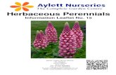 Herbaceous Perennials - Aylett Nurseries ... 2 Herbaceous perennials are a varied and versatile group