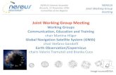 Joint Working Group Meeting - NEREUS › wp-content › uploads › 2017 › 10 › ... · Joint Working Group meeting • Erasmus Mundus Joint Master Degrees (EAC/A03/2016) - 40