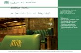 A British Bill of Rights? · establishment of a Commission on a Bill of Rights and the ‘Brighton Declaration’ which was agreed during the UK’s Presidency of the Council of Europe