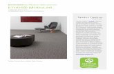 ENVIRONMENTAL PRODUCT D ETHOS MODULAR · ethos ® Modular Commercial Floor Covering According to ISO 14025 This declaration is an environmental product declaration in accordance with