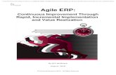 Agile ERP - info.frankrimermanconsulting.com · experience and upgrades are so painful and disruptive, that it is literally years (in some cases a decade or more) between upgrades