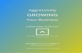 Aggressively Growing Your Buiness · Aggressively Growing Your Business ©2017 7Aggressive Growth Marketing DEVELOPING GROWTH STRATEGIES There are many ways to develop your growth