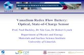 Vanadium Redox Flow Battery: Optical, State-of-Charge Sensor › wp-content › uploads › ... · in a vanadium redox flow battery An optical fibre probe could be placed in each