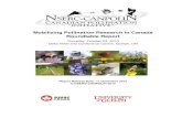 Mobilizing Pollination Research in Canada Roundtable Report Pollination... · Pollination Research in Canada Roundtable. The one day event featured presentations on the major findings