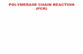 POLYMERASE CHAIN REACTION (PCR) POLYMERASE CHAIN REACTION (PCR) Objectives: a) to learn the technique