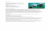 ENVST-UA 323 Marine Ecology & Conservation Fall 2019, M/W ...as.nyu.edu/content/dam/nyu-as/environment/documents... · 1) Estes et al. 1998. Killer whale predation on sea otters linking