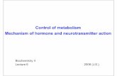 Control of metabolism Mechanism of hormone and ...€¦ · Mechanism of hormone and neurotransmitter action Biochemistry II ... in which the control of metabolism is –Regulation