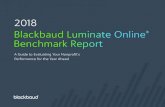 2018 Blackbaud Luminate Online Benchmark Report...2018 Blackbaud Luminate Online Benchmark Report / 5 In the Vertical Trends section, we look only at the year-over-year (YOY) movement