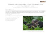 CHIMPANZEE CONSERVATION CENTER (CCC) ANNUAL …...chimpanzees have given purpose to my life. They'll forever be in my heart and I will continue to dedicate my life to helping them