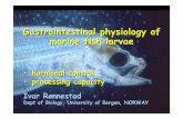 Gastrointestinal physiology of marine fish larvae · Gastrointestinal physiology of marine fish larvae ... Larvae ca 25 (dpff) Tonheim, Espe, Raae, Darias, Rønnestad.2004. Aquaculture.