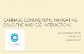 CANNABIS CONUNDRUMS: NAVIGATING DRUG-THC AND …...CANNABIS STRAINS • Generally divided into Sativa, Hybrid and Indica • Sativa - Sunshine - activating, daytime • Indica - Into