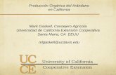 Producción Orgánica del Arándano en California Mark ...cesanluisobispo.ucanr.edu/files/203129.pdfResumen – producción del arándano en California o Principalmente de variedades