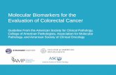Molecular Biomarkers for the Evaluation of …...Molecular Biomarkers for the Evaluation of Colorectal Cancer Guideline From the American Society for Clinical Pathology, College of
