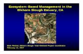 Ecosystem-Based Management in the Elkhorn Slough Estuary, CAelkhornslough.org/tidalwetland/downloads/EBM_Pres_Feb_07.pdf · Estuarine Restoration as EBM Predicting Tidal Hydrology