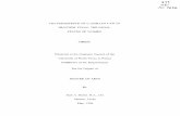 THE PERSISTENCE OF CASTILIAN LAW IN THESIS/67531/metadc277693/... · THE PERSISTENCE OF CASTILIAN LAW IN FRONTIER TEXAS: THE LEGAL STATUS OF WOMEN THESIS Presented to the Graduate