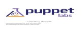 Learning Puppet - Super-Visions · The Learning Puppet VM is available in VMWare .vmx format and the cross-platform OVF format, and has been tested with VMWare Fusion and VirtualBox.