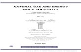 NATURAL GAS AND ENERGY PRICE VOLATILITY · natural gas and energy price volatility prepared for the oak ridge national laboratory by the 400 north capitol street, nw washington, dc