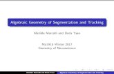 Algebraic Geometry of Segmentation and Trackingmatilde/AlgGTrackSlides.pdf · Matilde Marcolli and Doris Tsao Algebraic Geometry of Segmentation and Tracking Consider set T(C) of