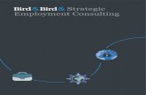 Strategic Employment Consulting/media/pdfs/brochures/international-hr... · Strategic Planning, HR, Engineering, Supply Chain, Communications and Employment/Legal. In this phase,