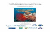 Benthic Habitat Assessment and Mapping in the …...Benthic Habitat Assessment and Mapping in the Farasan Islands Marine Protected Area, May 2006 Preliminary Field Report Annelise