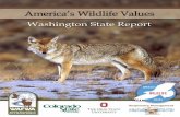 Washington State Report › ... › 02aug2019_09_wa_state_report.pdfthe Midwest Association of Fish and Wildlife Agencies (MAFWA). The Association of Fish and Wildlife Agencies (AFWA)
