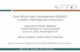 East Africa Dairy Development (EADD): A Heifer ... · Duration: 2008-2012 Budget: $ 42.85 Million (BMGF) Beneficiaries –179,000 dairy farmers on less than $2 per day Kenya, Uganda,