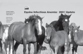 United States Equine Infectious Anemia: 2001 Update ... · 2Dr. Issel is Wright–Markey Chair of Equine Infectious Diseases, Gluck Equine Research Center, University of Kentucky,