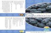 Yield 6 Servings › ezs3download › download › 22773 › 515354 … · until it is time to eat them. As soon as blueberries start to wilt, separate by hand. To freeze blueberries,