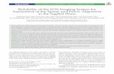 Reliability of the EOS Imaging System for Assessment of the … · 2018-11-21 · pinpoint the hip center when measuring pelvic tilt (PT) or pelvic inclination because C7 and T1 vertebral