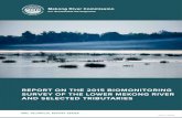 REPORT ON THE 2015 BIOMONITORING Mekong River …€¦ · vi Report on the 2015 biomonitoring survey of the lower Mekong River and selected tributaries List Of Figures Figure 1 .