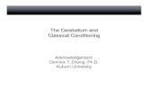The Cerebellum and Classical Conditioning...Human Eyeblink Classical Conditioning Behavioral Studies Cason (1922) Patient Studies (MTL and Cerebellar Lesions) Daumet al. (1989, 1991,