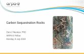 Carbon Sequestration Rocks - ARPA-E · Images adapted from: Krevor, S. C., et al. ”Mapping the mineral resource base for mineral carbon-dioxide sequestration in the conterminous