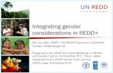 Integrating gender considerations in REDD+ › uploads › pdfs › 132729815203.pdfIntegrating gender considerations in REDD+ Ms Lisa Ogle, UNDP / UN-REDD Programme, Consultant Contact: