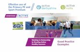 the Primary PE and notts Sport Premium...Welcome to the first edition of the ‘Effective use of the PE and Sport Premium – Good Practice Examples’ booklet, aimed at providing