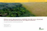 Fine root dynamics within land-use change from tropical ...€¦ · Tropical Silviculture and Forest Ecology, Faculty of Forest Sciences and Forest Ecology, Georg-August-Universität