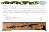 Naturally Kentucky · live animal presentation by East Kentucky Power Cooperative, storytelling by Kentucky author George Ella Lyon and a class on botanical drawing by Amy McIntosh.