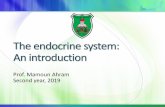 The endocrine system: An introduction - Doctor 2018 · 2020-04-27 · The endocrine system: An introduction Prof. Mamoun Ahram Second year, 2019. What does “endocrine” mean? The