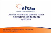 Animal Health and Welfare Panel SCIENTIFIC …ec.europa.eu/.../reg-com_ahw_20100503_pres_qfever_efsa.pdf2010/05/03  · Animal Health and Welfare Panel SCIENTIFIC OPINION ON Q FEVER