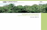 AFGHANISTAN CANNABIS SURVEY 2010 - RefworldAfghanistan Cannabis survey 2010 June 2011 Vienna International Centre, PO Box 500, 1400 Vienna, Austria Tel.: (+43-1) 26060-0, Fax: (+43-1)