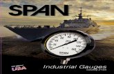 SPAN LIQUID FILLED PRESSURE GAUGES - GCC › wp-content › uploads › 2018 › 07 › span... · 2020-01-08 · SPAN LIQUID FILLED PRESSURE GAUGES There certainly are a lot of gauges