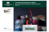 CLUSTER OF EXCELLENCE MERGE - European Commission CLUSTER OF EXCELLENCE MERGE Merge Technologies for