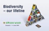 Biodiversity and Sustainable Consumptionec.europa.eu/environment/archives/greenweek2010/sites/... · 2014-04-22 · Sustainable Consumption • Johns Hopkins started “Meatless Mondays”