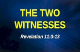 THE TWO WITNESSES · WITNESSES Revelation 11:3 -13 . 2. THE DIVINE PARENTHESIS In Chapter 10 and most of 11, John is filling in some of the details that will take place during the