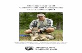 Montana Gray Wolf Conservation and Management 2015 Annual ... Montana Gray Wolf Conservation and Management