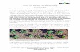 Canopy Cover Evaluation Through Image Analysis€¦ · Image analysis overcomes these challenges by removing bias from the evaluation. By taking standardized images of each plot at