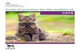Code of practice for the welfare of cats - Homepage …...Cats that do not go outside may need extra opportunities to play and exercise indoors. However, some cats, especially those
