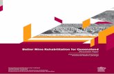 Better Mine Rehabilitation for Queensland › files › Better-Mine... · This discussion paper, Better Mine Rehabilitation for Queensland, is one of a series of discussion papers