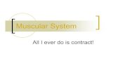 Muscular System - Westmont College · Muscular System All I ever do is contract! Types of Muscle!Skeletal!Cardiac!Smooth. Functions! Movement! Stability and posture! Communication!