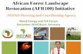 African Forest Landscape Restoration (AFR100) Initiative · Background AFR100 is a pan-African, country-led initiative to bring 100 million hectares of degraded lands into restoration